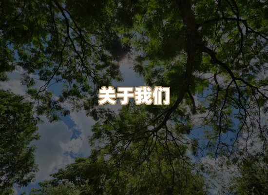 关于华净工业除尘厂家